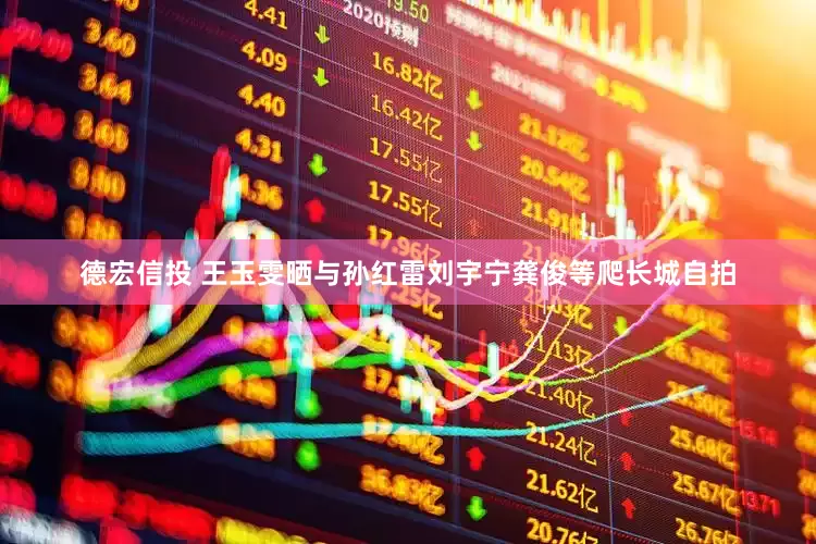 德宏信投 王玉雯晒与孙红雷刘宇宁龚俊等爬长城自拍