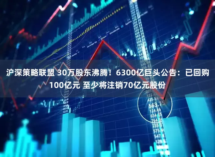沪深策略联盟 30万股东沸腾！6300亿巨头公告：已回购100亿元 至少将注销70亿元股份